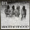 Used - D.Y.S. - Brotherhood - LP - Tone Deaf Records
