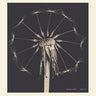New - Funke, Maxine - Home Fi - LP - Tone Deaf Records
