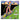 Used - Arbor Labor Union - Yonder - LP