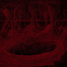 New - Hell - Submersus - LP - Tone Deaf Records