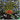 Used - Bauer, Joe - Moonset - LP
