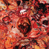 New - Festerdecay - From Demo To Rot - LP - Tone Deaf Records