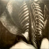 Used - Dreamweapon - Rites Of Lunacy - LP - Tone Deaf Records