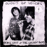 Used - Guided By Voices - King Shit & The Golden Boys - LP - Tone Deaf Records