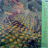 New - Screaming Trees - Invisible Lantern - LP - Tone Deaf Records