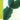 New - Yoshimura, Hiroshi - Green - LP - Tone Deaf Records