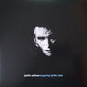 Used - Sullivan, Justin - Navigating By The Stars - 2xLP - Tone Deaf Records