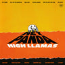 New - High Llamas - Hey Panda - LP - Tone Deaf Records