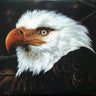 Used - Mogwai - The Hawk Is Howling - 2xLP - Tone Deaf Records