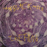 New - The Fluid - Clear Black Paper - LP - Tone Deaf Records