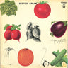 Used - Cream - Best Of Cream - LP - Tone Deaf Records
