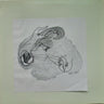 Used - Teenage Panzerkorps - Harmful Emotions - LP - Tone Deaf Records