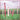 New - Straw Man Army - Earthworks - LP - Tone Deaf Records
