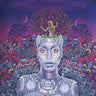 New - Badu, Erykah - New Amerykah Part Two: Return Of The Ankh - 2xLP - Tone Deaf Records