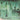 New - Boards Of Canada - Music Has The Right To Children - 2xLP - Tone Deaf Records