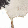 New - Flavor Crystals/The Telescopes - Split - 12" - Tone Deaf Records
