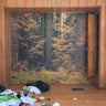 New - Index - Kainos - LP - Tone Deaf Records