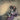 New - Myriad, Carrl & Janie - Of All the Wounded People... - LP - Tone Deaf Records