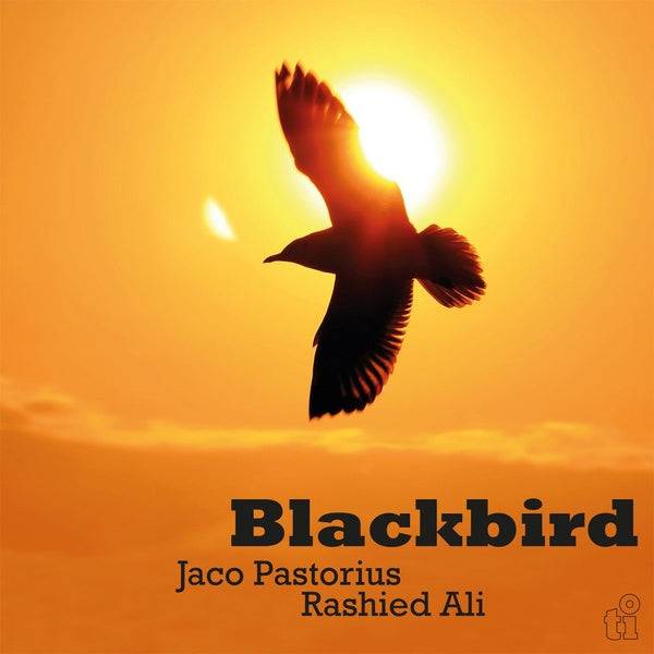 Phpr Rashied New - Pastorius & Rashied Ali, Jaco - Blackbird - LP – Tone Deaf Records
