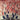 New - Spoon - A Series Of Sneaks - LP - Tone Deaf Records