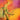 New - The Breeders - Pod - LP - Tone Deaf Records