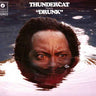 New - Thundercat - Drunk - 4x10" - Tone Deaf Records